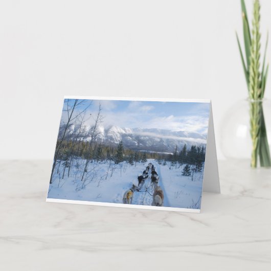 ParrotSleds – 横 カード (正面)