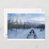 ParrotSleds – 横 ポストカード (正面/裏面)