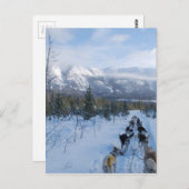 ParrotSleds – 横 ポストカード (正面/裏面)