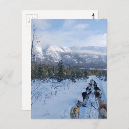 ParrotSleds – 横 ポストカード (正面/裏面)