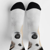Parson Jack Russell Terrier 絵画's - Dog Art ソックス (上部)