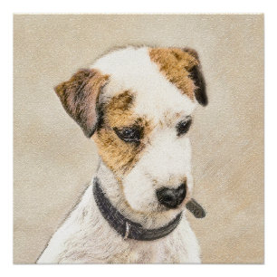 Parson Jack Russell Terrier 絵画's - Dog Art ポスター