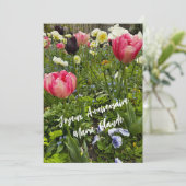 Parterre de fleurs (スタンド正面)