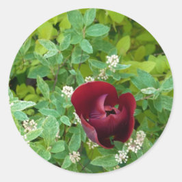 parterre de fleurs au printemps ラウンドシール