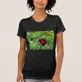 parterre de fleurs au printemps tシャツ