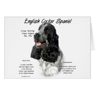 Parti English Cockerスパニエル犬履歴