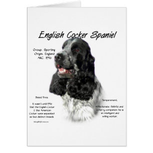Parti English Cockerスパニエル犬履歴