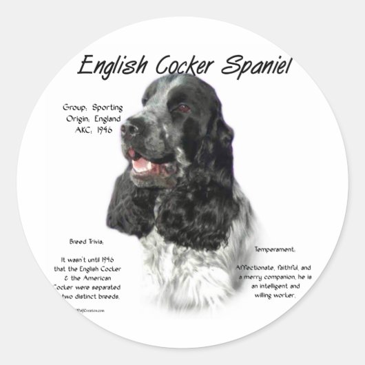 Parti English Cockerスパニエル犬履歴 ラウンドシール (正面)