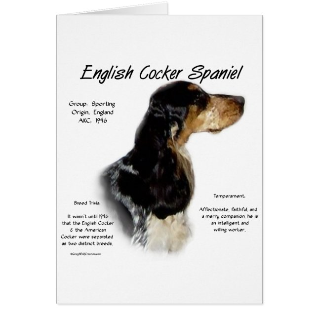 Parti Roan English Cockerスパニエル犬履歴 (正面)