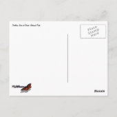 Partition Arch II at Arches National Park ポストカード (裏面)