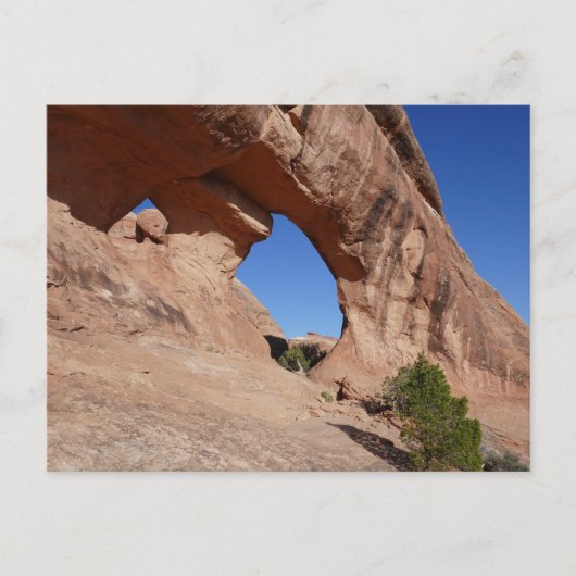 Partition Arch II at Arches National Park ポストカード (正面)