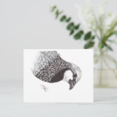 PARTRIDGE シーズンポストカード (スタンド正面)