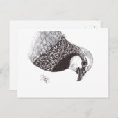 PARTRIDGE シーズンポストカード (正面/裏面)