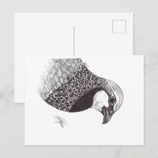 PARTRIDGE シーズンポストカード (正面/裏面)