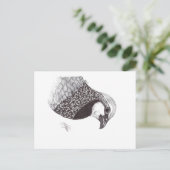 PARTRIDGE ポストカード (スタンド正面)