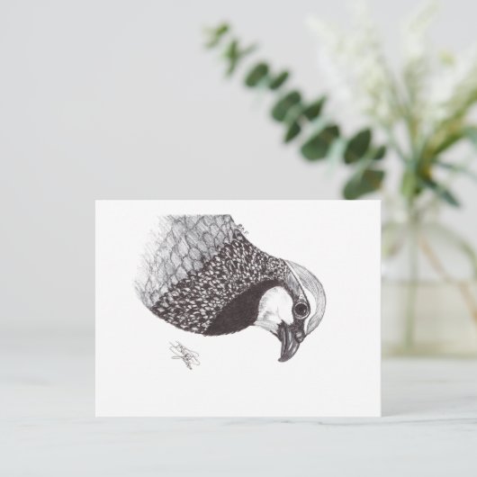 PARTRIDGE ポストカード (スタンド正面)