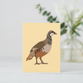 Partridge Chukar Bird ポストカード (スタンド正面)