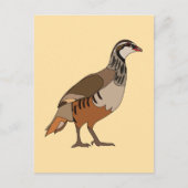 Partridge Chukar Bird ポストカード (正面)