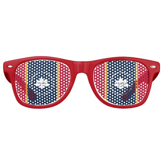 Party Shades Sunglasses with flag of Mississippi レトロサングラス (正面)