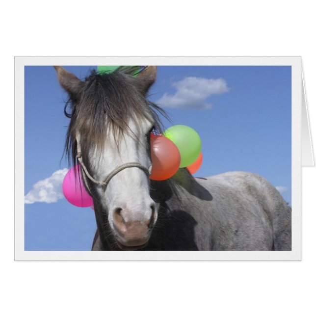 PartyAnimal (正面横)