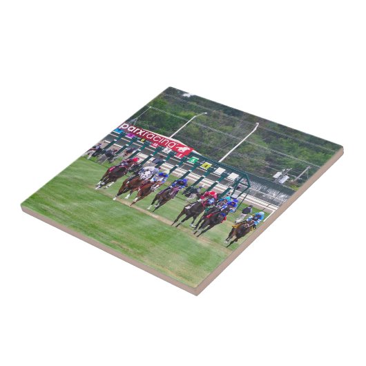 Parxの競争 タイル (側面)