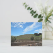 Paso Roblesのワインの里のハート ポストカード (スタンド正面)