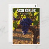 Paso Robles California Central Coast ポストカード (正面/裏面)