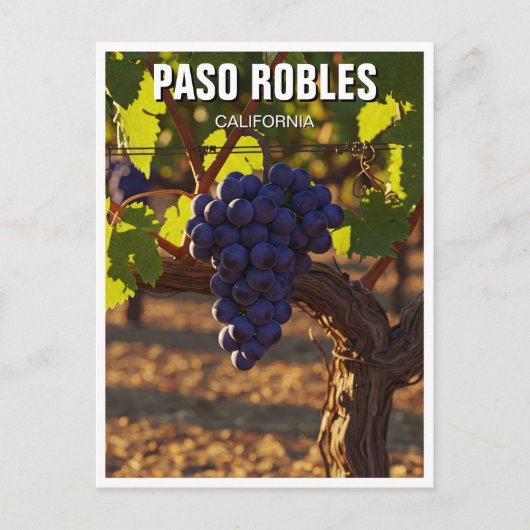 Paso Robles California Central Coast ポストカード (正面)