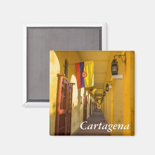 Passageway and Flags マグネット (正面/裏面)