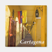 Passageway and Flags マグネット (正面)