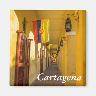 Passageway and Flags マグネット