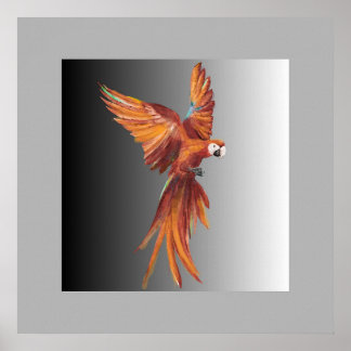 Pássaro Vermelho ポスター