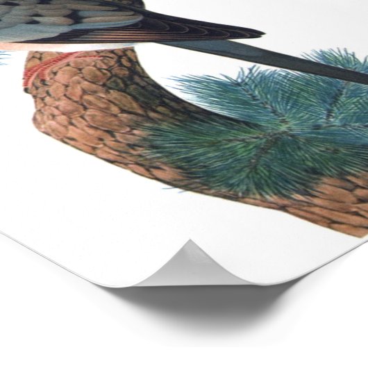 Passenger Pigion – トピスP/folio ポスター (角)