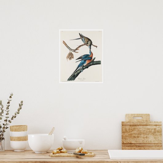Passenger Pigon by Audubon Poster ポスター (キッチン)