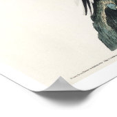 Passenger Pigon by Audubon Poster ポスター (角)