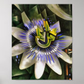 Passiflora Passion Flower In Geometric Artスタイル ポスター (正面)