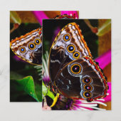 Passiflora VIOLACEAとBlue morpho蝶 ポストカード (正面/裏面)