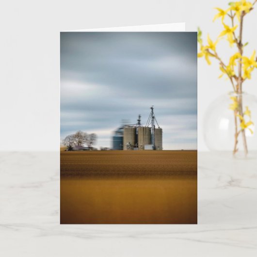 Passing through central Illinois on I-55 カード (黄色い花)