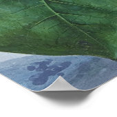 Passion Flower (1799)、Sydenham Teak Edwards著。 ポスター (角)