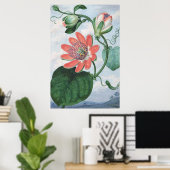 Passion Flower (1799)、Sydenham Teak Edwards著。 ポスター (ホームオフィス)