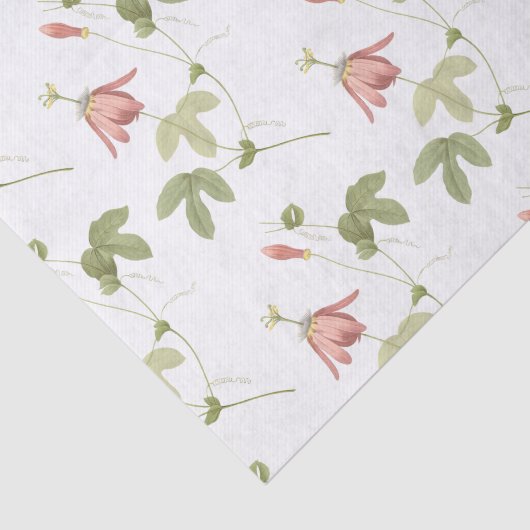 Passion Flower Pattern 薄葉紙 (詳細)