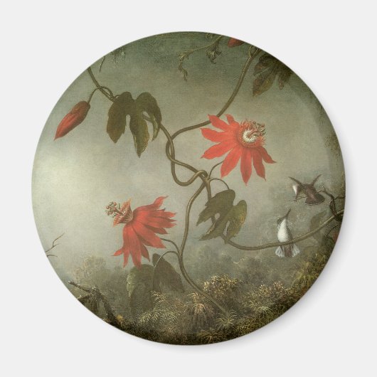 Passion Flowers and Hummingbirds by Martin J Heade マグネット (正面)