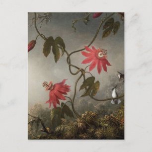 Passion Flowers with Hummingbirds by Martin Johnso ポストカード