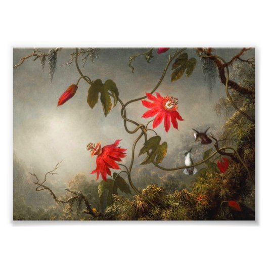 Passion Flowers with Hummingbirds Heade フォトプリント (正面)