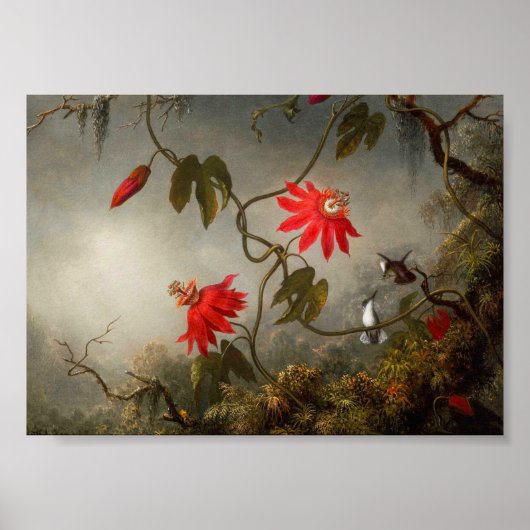 Passion Flowers with Hummingbirds Heade ポスター (正面)