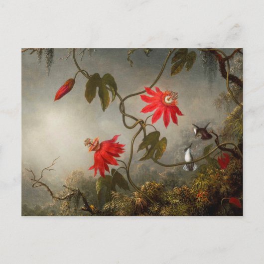 Passion Flowers with Hummingbirds Heade ポストカード (正面)