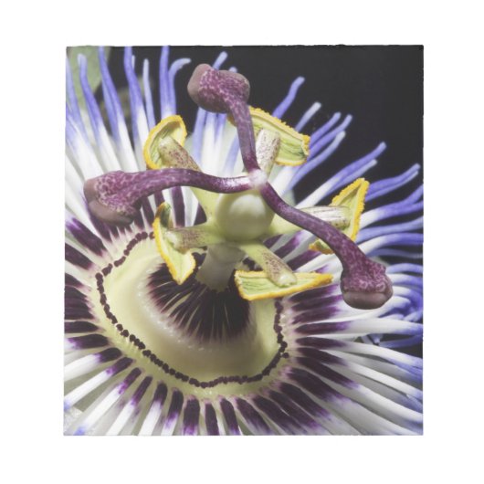 Passionflower close up(MR) ノートパッド (正面)