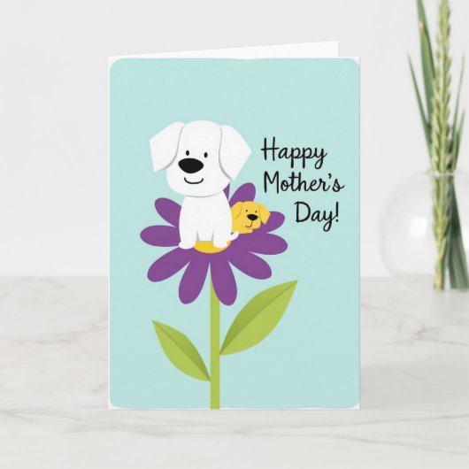 Pastel Blue Flower Petals Card カード (正面)