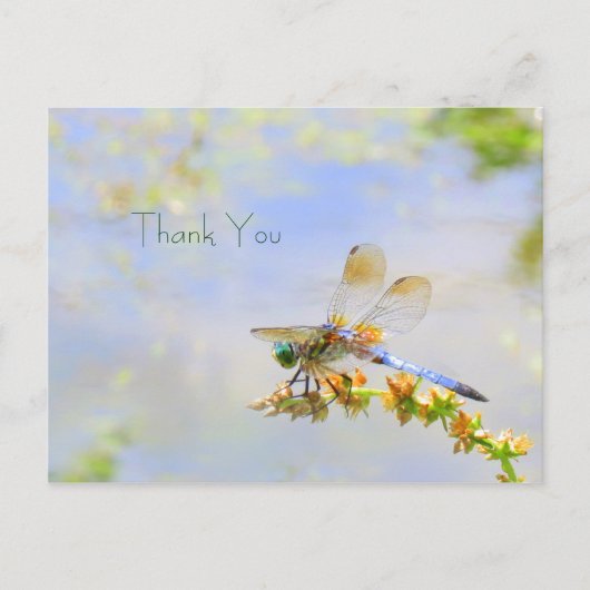 Pastel Dragonfly Thank You Postcard ポストカード (正面)