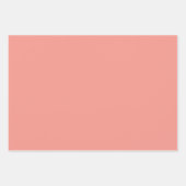 Pastel Flamingo Pink Color ラッピングペーパーシート (正面3)